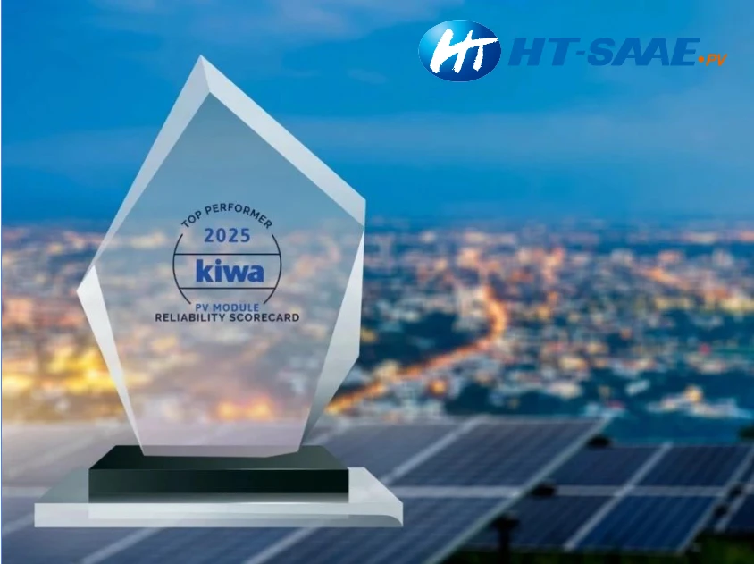 image.webp image.webp